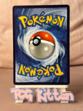 Load image into Gallery viewer, *CUSTOM* Eevee V 001/009 TR Trainer Cosplay Handmade Textured Art TCGKITTEN